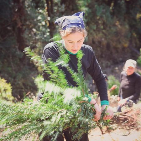 609156205_18297100852279152_3048327997691820221_n