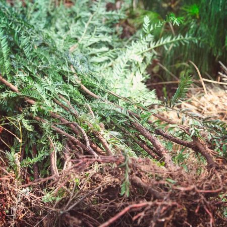 609224172_18297100876279152_7326433413472835504_n