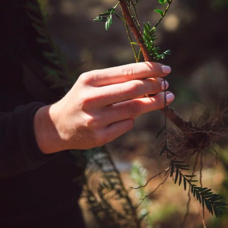 610158411_18297100894279152_8630367913352513859_n