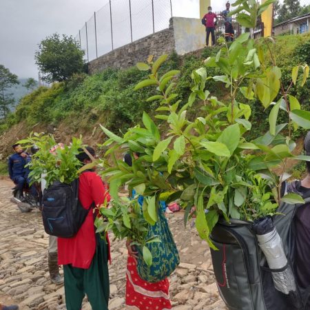 Planting 10,000 Fruit trees in Nepal Juniper Trust (1)