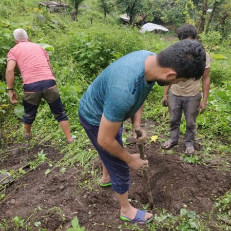 Planting 10,000 Fruit trees in Nepal Juniper Trust (10)