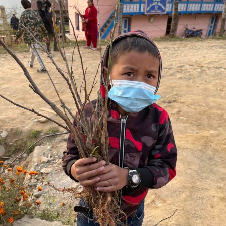 Planting 10,000 Fruit trees in Nepal Juniper Trust (2)