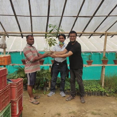 Planting 10,000 Fruit trees in Nepal Juniper Trust (4)