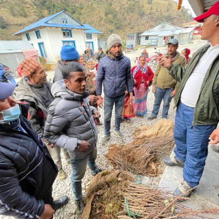 Planting 10,000 Fruit trees in Nepal Juniper Trust (9)